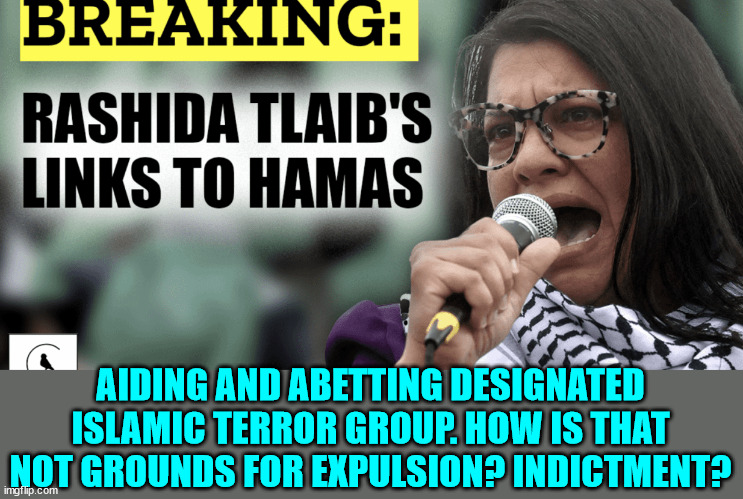 Tlaib has extensive funds tied to the Hamas terrorist group | AIDING AND ABETTING DESIGNATED ISLAMIC TERROR GROUP. HOW IS THAT NOT GROUNDS FOR EXPULSION? INDICTMENT? | image tagged in democrat,support,terrorists | made w/ Imgflip meme maker