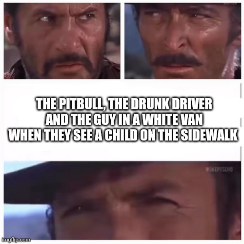 All my fellas | THE PITBULL, THE DRUNK DRIVER AND THE GUY IN A WHITE VAN WHEN THEY SEE A CHILD ON THE SIDEWALK | image tagged in all my fellas,meme,funny | made w/ Imgflip meme maker