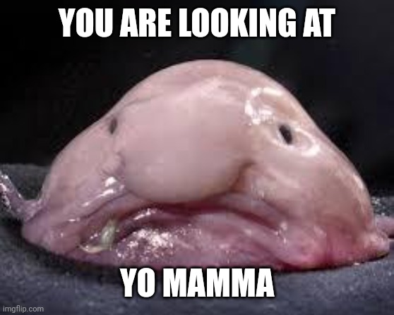 Blob fish | YOU ARE LOOKING AT; YO MAMMA | image tagged in blob fish | made w/ Imgflip meme maker