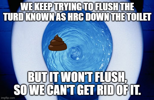 toilet flushing | WE KEEP TRYING TO FLUSH THE TURD KNOWN AS HRC DOWN THE TOILET BUT IT WON'T FLUSH, SO WE CAN'T GET RID OF IT. | image tagged in toilet flushing | made w/ Imgflip meme maker