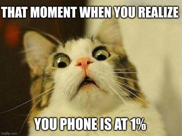 Scared Cat Meme | THAT MOMENT WHEN YOU REALIZE; YOU PHONE IS AT 1% | image tagged in memes,scared cat,phone,funny animals,relatable | made w/ Imgflip meme maker