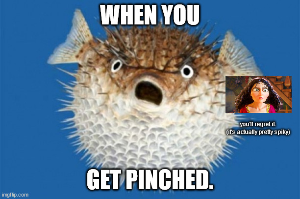 They're so spiky. Hehe, you get the joke in there? | WHEN YOU; you'll regret it.
(it's actually pretty spiky); GET PINCHED. | image tagged in puffer fish | made w/ Imgflip meme maker