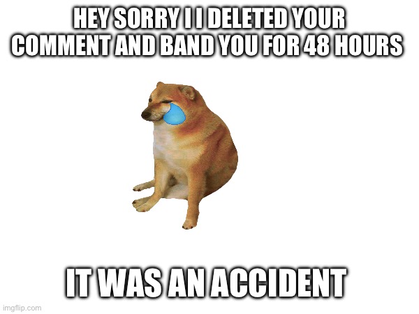 HEY SORRY I I DELETED YOUR COMMENT AND BAND YOU FOR 48 HOURS; IT WAS AN ACCIDENT | image tagged in sorry | made w/ Imgflip meme maker