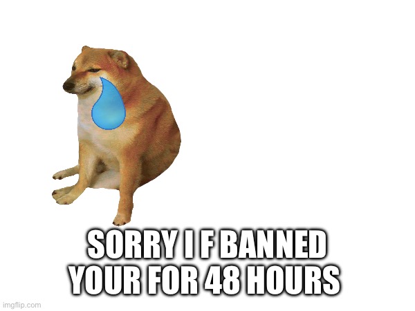 SORRY I F BANNED YOUR FOR 48 HOURS | image tagged in e | made w/ Imgflip meme maker