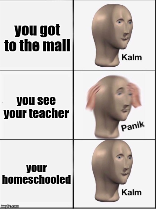 me | you got to the mall; you see your teacher; your homeschooled | image tagged in reverse kalm panik,me,fr,homeschool,teacher,mom | made w/ Imgflip meme maker