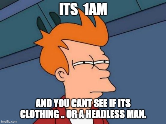Futurama Fry Meme | ITS  1AM; AND YOU CANT SEE IF ITS CLOTHING .. OR A HEADLESS MAN. | image tagged in memes,futurama fry | made w/ Imgflip meme maker