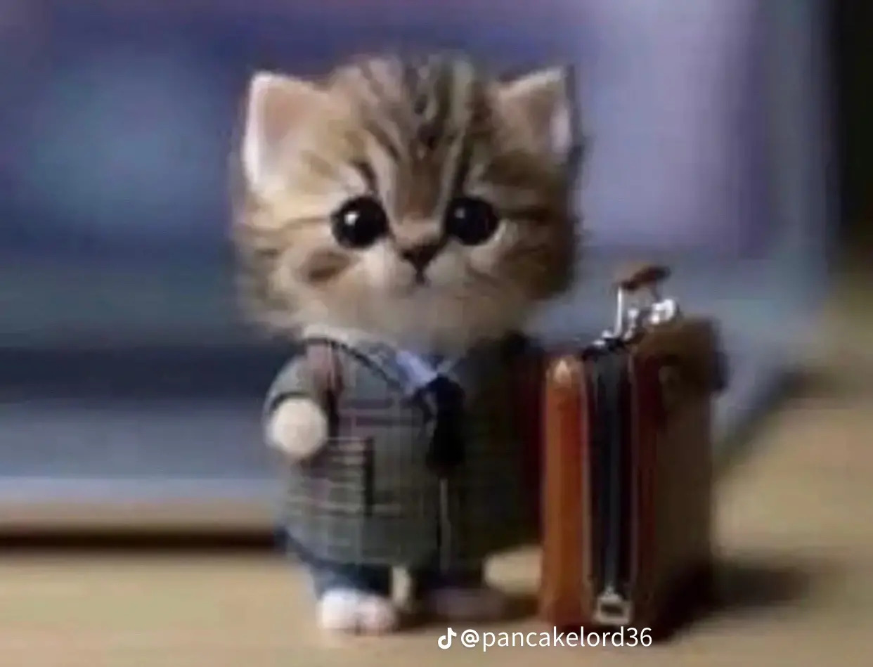 Business Kitten Blank Meme Template