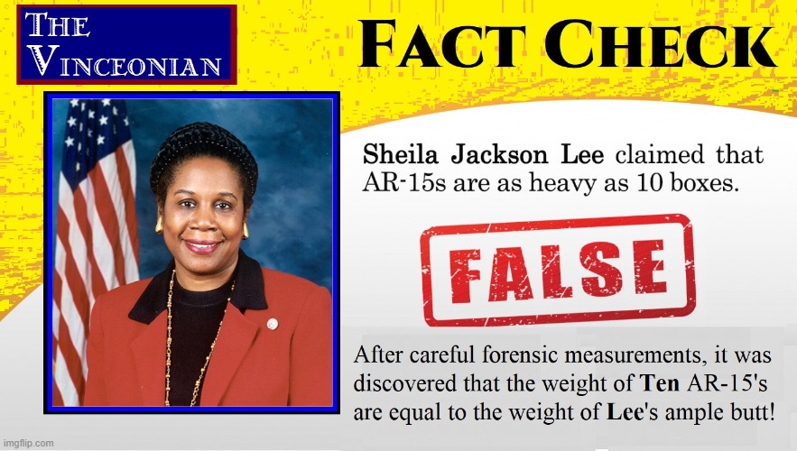 Living Proof: IDIOTS RUN OUR COUNTRY | image tagged in vince vance,meme,sheila jackson lee,idiots,ar-15,fact check | made w/ Imgflip meme maker