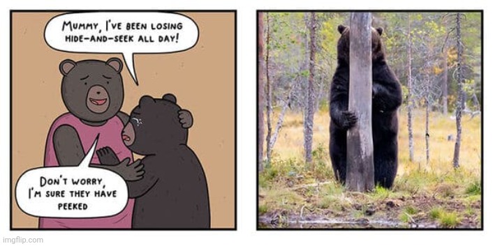 Peek-a-boo bear | image tagged in peek-a-boo,bear,bears,hide and seek,comics,comics/cartoons | made w/ Imgflip meme maker