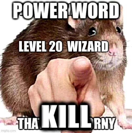 ugfhdyd | LEVEL 20  WIZARD | image tagged in power word kill,dnd | made w/ Imgflip meme maker