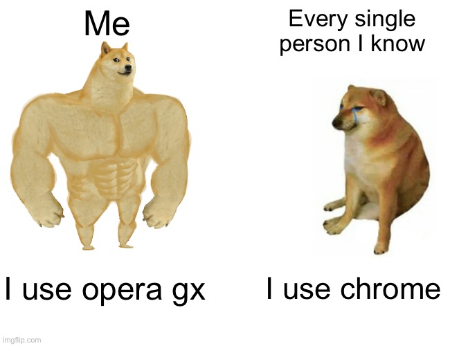 Get opera gx fr tho | Me; Every single person I know; I use opera gx; I use chrome | image tagged in memes,buff doge vs cheems | made w/ Imgflip meme maker