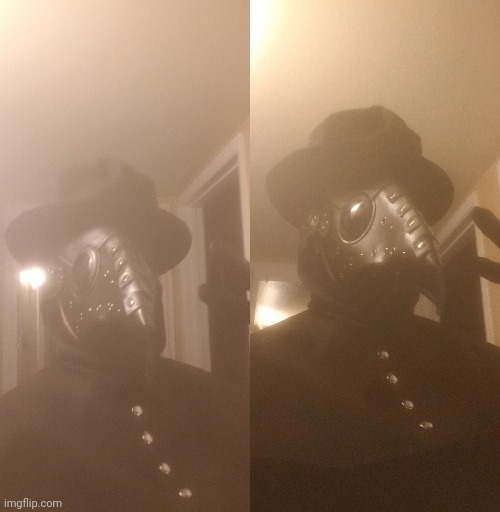 Update I got the outfit today! | image tagged in plague doctor | made w/ Imgflip meme maker