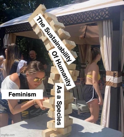 Feminism | made w/ Imgflip meme maker