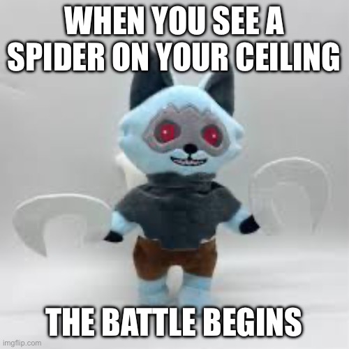 Death plush | WHEN YOU SEE A SPIDER ON YOUR CEILING; THE BATTLE BEGINS | image tagged in death plush | made w/ Imgflip meme maker