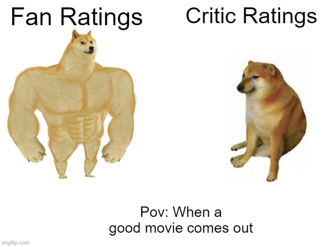 Critics are Idiots | Fan Ratings; Critic Ratings; Pov: When a good movie comes out | image tagged in memes,buff doge vs cheems,so relatable,critics suck | made w/ Imgflip meme maker