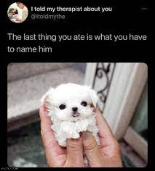 what the name | image tagged in what the name | made w/ Imgflip meme maker