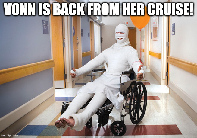 injured guy | VONN IS BACK FROM HER CRUISE! | image tagged in injured guy | made w/ Imgflip meme maker