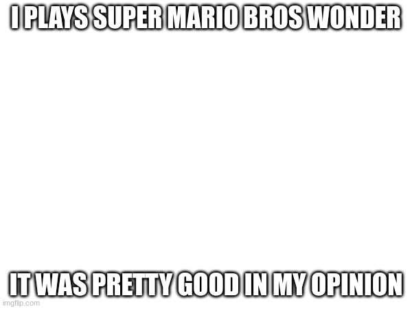 I PLAYS SUPER MARIO BROS WONDER; IT WAS PRETTY GOOD IN MY OPINION | made w/ Imgflip meme maker