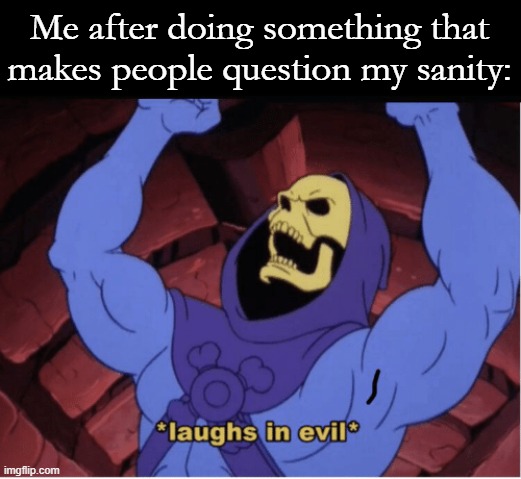 Laughs in evil | Me after doing something that makes people question my sanity: | image tagged in laughs in evil | made w/ Imgflip meme maker