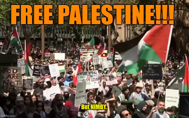 Pro-Palestine rally in Sydney | FREE PALESTINE!!! But NIMBY. | image tagged in pro-palestine rally in sydney | made w/ Imgflip meme maker