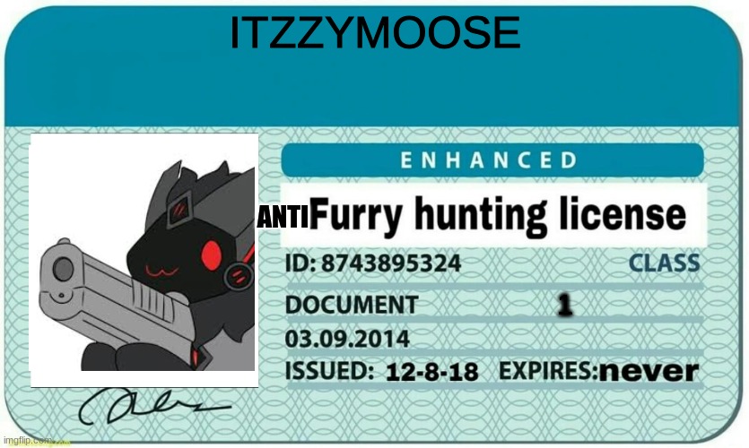me r n | ITZZYMOOSE; ANTI; 1 | image tagged in furry hunting license | made w/ Imgflip meme maker