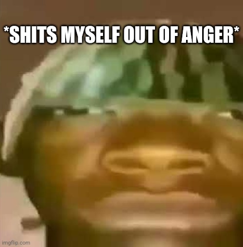 shitpost | *SHITS MYSELF OUT OF ANGER* | image tagged in shitpost | made w/ Imgflip meme maker