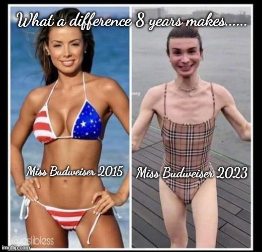 Sorry, couldn't help myself... | What a difference 8 years makes...... Miss Budweiser 2015; Miss Budweiser 2023 | image tagged in 2015,2023,differences,ugh | made w/ Imgflip meme maker