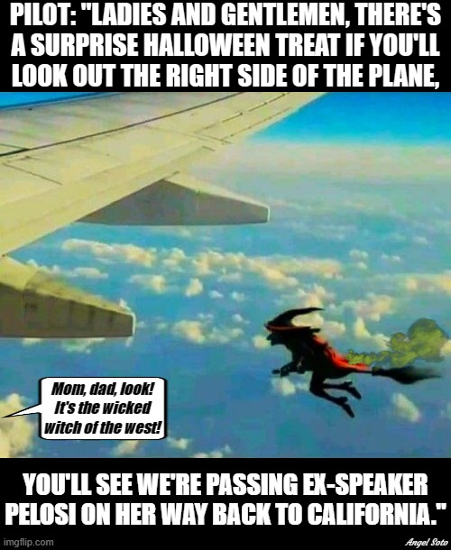 wicked witch of the west returns home for Halloween | PILOT: "LADIES AND GENTLEMEN, THERE'S
A SURPRISE HALLOWEEN TREAT IF YOU'LL
LOOK OUT THE RIGHT SIDE OF THE PLANE, Mom, dad, look!
It's the wicked
witch of the west! YOU'LL SEE WE'RE PASSING EX-SPEAKER
PELOSI ON HER WAY BACK TO CALIFORNIA."; Angel Soto | image tagged in nancy pelosi,speaker,wicked witch of the west,halloween,plane,pilot | made w/ Imgflip meme maker