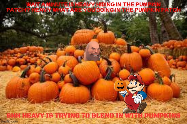 heavy in the pumpkin patch | WAIT A MINUTE IS HEAVY HIDING IN THE PUMPKIN PATCH? HEAVY WHAT ARE YOU DOING IN THE PUMPKIN PATCH; SHH HEAVY IS TRYING TO BLEND IN WITH PUMPKINS | image tagged in pumpkin patches in and around colleyville,tf2,mario,crossover | made w/ Imgflip meme maker
