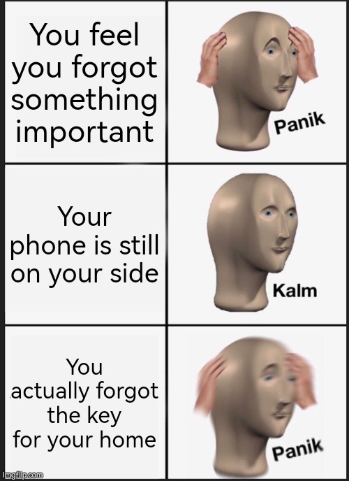 I actually have no idea what happened if someone lose the key for home. | You feel you forgot something important; Your phone is still on your side; You actually forgot the key for your home | image tagged in memes,panik kalm panik,key,phone,forgot | made w/ Imgflip meme maker