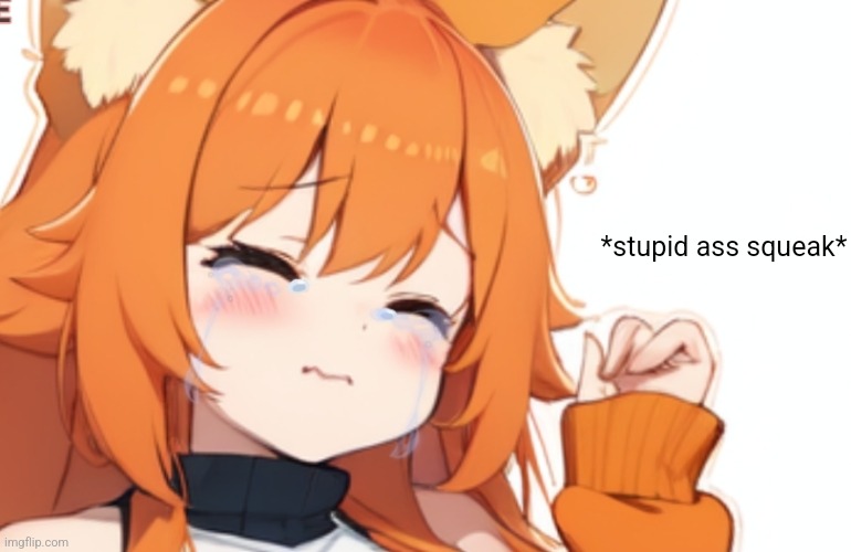 Stupid ass squeak Blank Meme Template