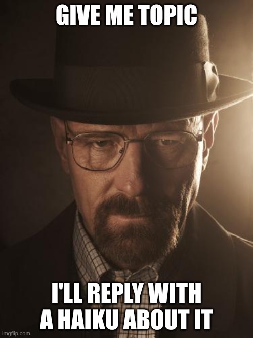 Walter White | GIVE ME TOPIC; I'LL REPLY WITH A HAIKU ABOUT IT | image tagged in walter white | made w/ Imgflip meme maker