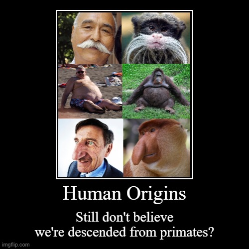 Human Origins | Still don't believe we're descended from primates? | image tagged in funny,demotivationals | made w/ Imgflip demotivational maker