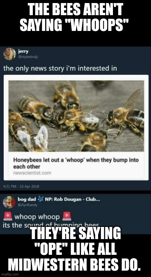 Bees ope | THE BEES AREN'T SAYING "WHOOPS"; THEY'RE SAYING "OPE" LIKE ALL MIDWESTERN BEES DO. | image tagged in funny | made w/ Imgflip meme maker