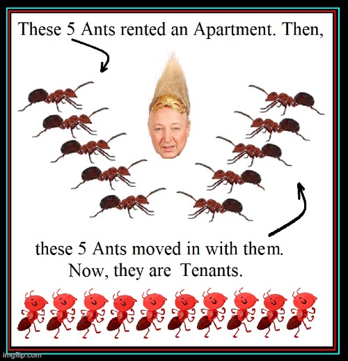 Carpenter Ants Build...and then there are Renter Ants | image tagged in vince vance,ants,rent,apartment,tenants,memes | made w/ Imgflip meme maker