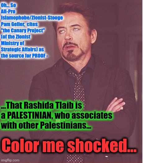 Face You Make Robert Downey Jr Meme | Oh... So All-Pro Islamophobe/Zionist-Stooge  Pam Geller,  cites "the Canary Project" (of the Zionist Ministry of Strategic Affairs) as the s | image tagged in memes,face you make robert downey jr | made w/ Imgflip meme maker