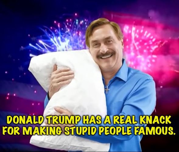 Mike Lindell going broke | DONALD TRUMP HAS A REAL KNACK FOR MAKING STUPID PEOPLE FAMOUS. | image tagged in mike lindell | made w/ Imgflip meme maker