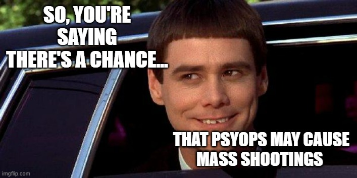 dumb and dumber | SO, YOU'RE SAYING
THERE'S A CHANCE... THAT PSYOPS MAY CAUSE
MASS SHOOTINGS | image tagged in dumb and dumber | made w/ Imgflip meme maker