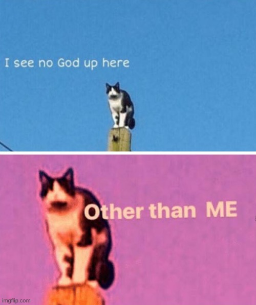 i see no god up here | image tagged in i see no god up here | made w/ Imgflip meme maker