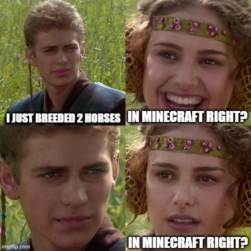 :true fear: | I JUST BREEDED 2 HORSES; IN MINECRAFT RIGHT? IN MINECRAFT RIGHT? | image tagged in anakin padme 4 panel | made w/ Imgflip meme maker