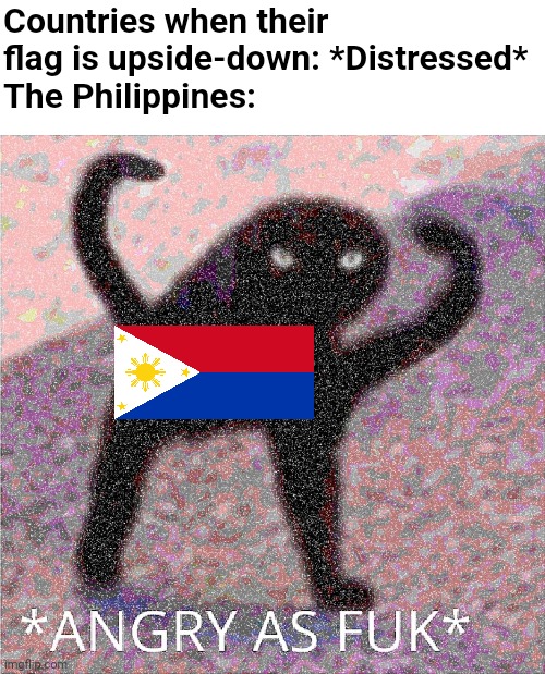 To know the context: Search up Philippines War Flag | Countries when their flag is upside-down: *Distressed*
The Philippines: | image tagged in angry as fuk,memes,funny,philippines,flag,upside-down | made w/ Imgflip meme maker