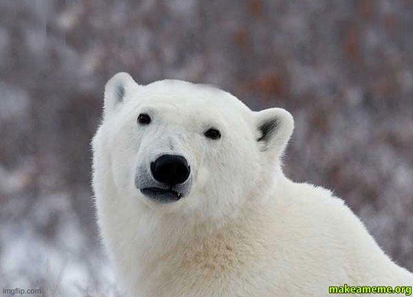 Popular Opinion Polar Bear | image tagged in popular opinion polar bear | made w/ Imgflip meme maker