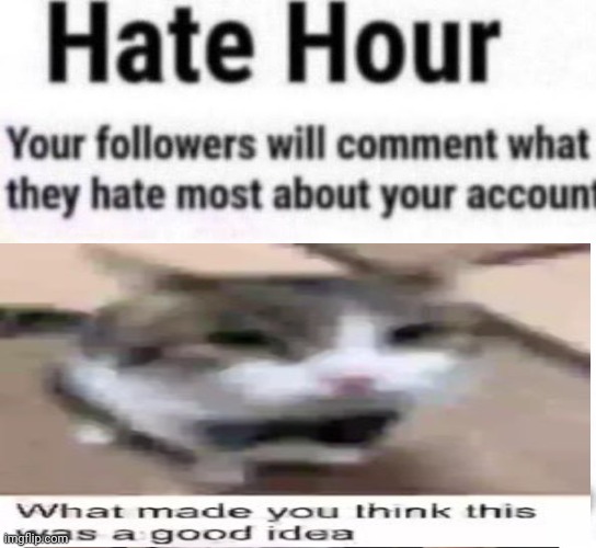 Hate hour | image tagged in hate hour | made w/ Imgflip meme maker