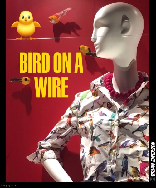 Bird Blouse | image tagged in fashion,window design,carolina herrera,emooji art,brian einersen | made w/ Imgflip meme maker