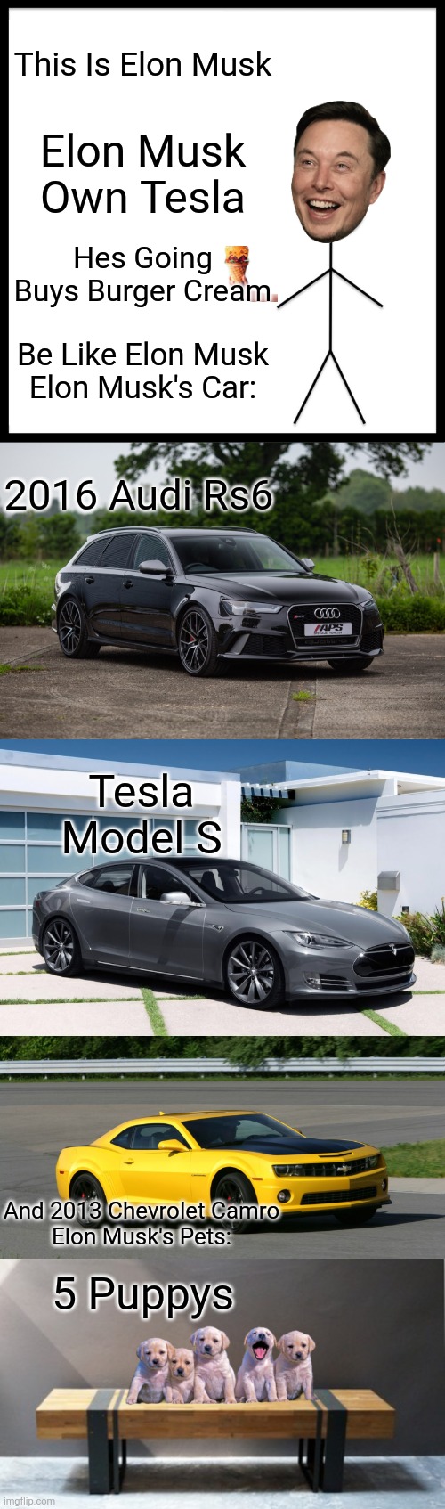 This Is Elon Musk; Elon Musk Own Tesla; Hes Going Buys Burger Cream; Be Like Elon Musk
Elon Musk's Car:; 2016 Audi Rs6; Tesla Model S; And 2013 Chevrolet Camro
Elon Musk's Pets:; 5 Puppys | image tagged in be like bill,elon musk,audi,tesla,chevrolet,puppy | made w/ Imgflip meme maker
