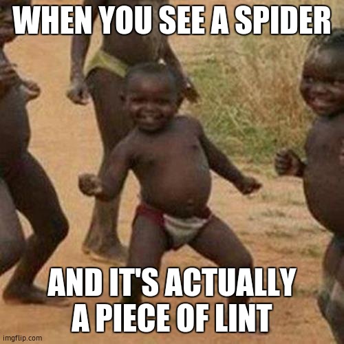 - | WHEN YOU SEE A SPIDER; AND IT'S ACTUALLY A PIECE OF LINT | image tagged in memes,third world success kid | made w/ Imgflip meme maker