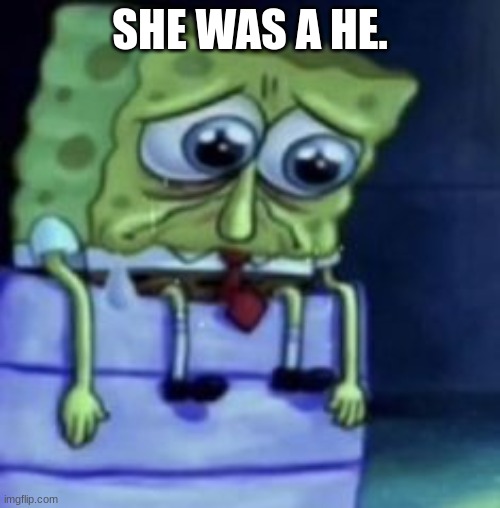 *sobs* | SHE WAS A HE. | made w/ Imgflip meme maker