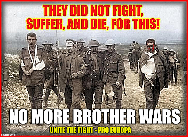 NO MORE BROTHER WARS; UNITE THE FIGHT - PRO EUROPA | made w/ Imgflip meme maker