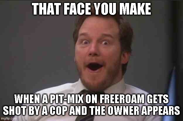 That face you make when a pit-mix on freeroam gets shot by a cop and the owner appears | THAT FACE YOU MAKE; WHEN A PIT-MIX ON FREEROAM GETS SHOT BY A COP AND THE OWNER APPEARS | image tagged in that face you make when you realize star wars 7 is one week away | made w/ Imgflip meme maker
