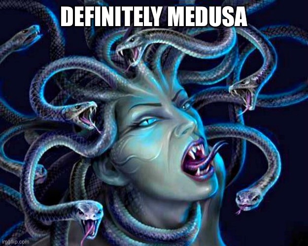 medusa | DEFINITELY MEDUSA | image tagged in medusa | made w/ Imgflip meme maker